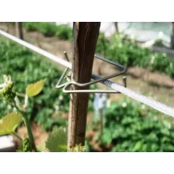 Metalinės kabės Tapener įrankiui MAX, 604E-L|Vynmedžių tvirtinimui