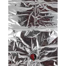 BAG in BOX maišelis skaidrus 5 ltr.|BAG IN BOX