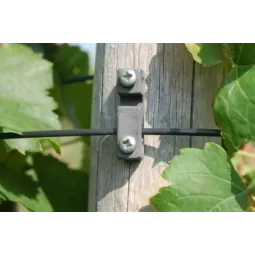 Vielos laikiklis ant statramsčio