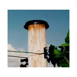 Medinio statramsčio dangtis