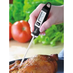 Termometras maistui matuoti