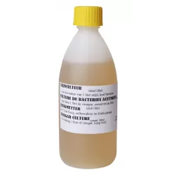 Vinegar culture Acto gamybai : Pakuotė - 100 g