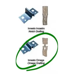 Skiepijimo/Pumpuravimo juosta neperforuota 30 mm 60 m skaidri|Medelių skiepijimo įrankiai