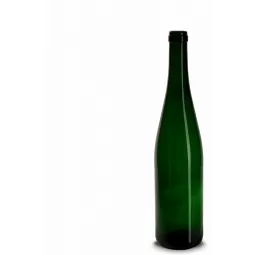 schlegel vyno butelis