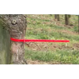 Selekcinis raištis 310 mm ilgio