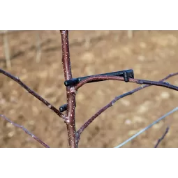 Šakelių formavimo segtukas Astfix II