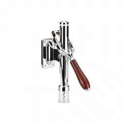 Sieninis kamščiatraukis