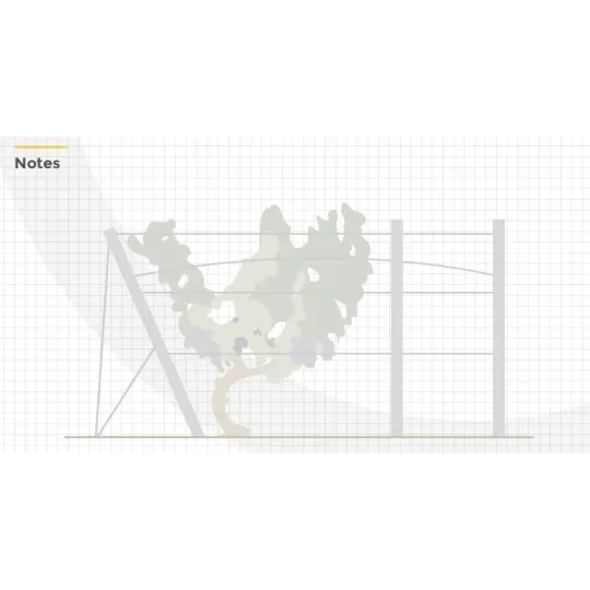 Vynmedžio stovas Perfo 50x36x2500|Stulpai ir inkarai