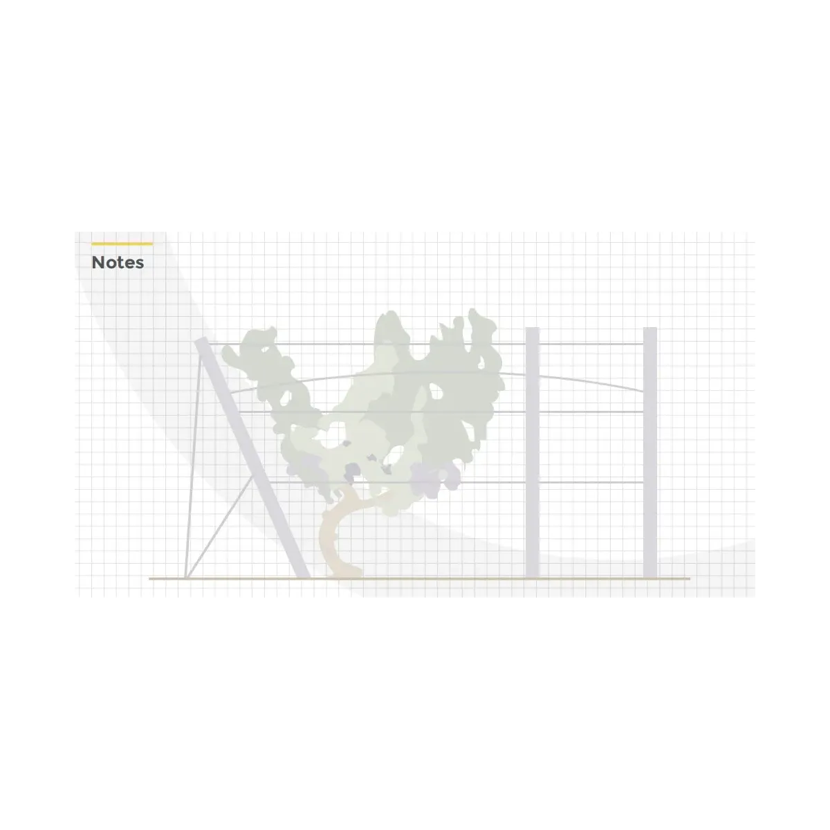 Vynmedžio stovas Perfo 50x36x2500|Stulpai ir inkarai