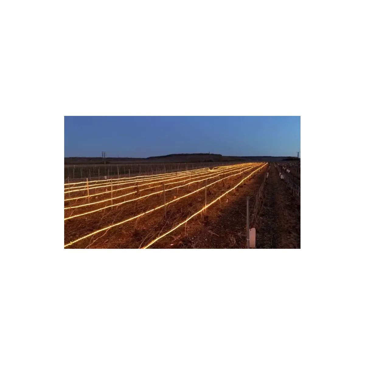 Frolight infraraudonųjų spindulių šildomas vamzdis|Medelių apsaugai