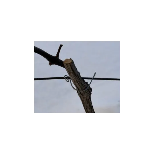 Kabliukai vynuogėms/augalams|Vynmedžių tvirtinimui Kabliukai vynuogėms/augalams|Vynmedžių tvirtinimui